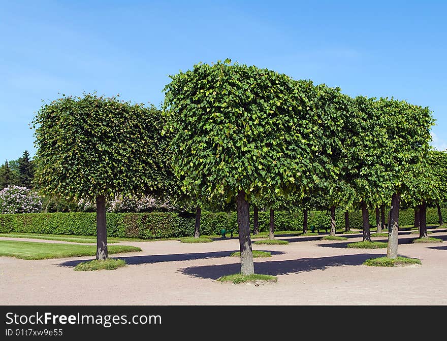 Park in Petergof, St Petersburg, Russia