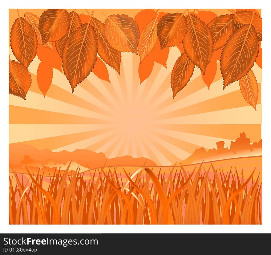 Vector background with leaf and grass in orange color, illustration. Vector background with leaf and grass in orange color, illustration