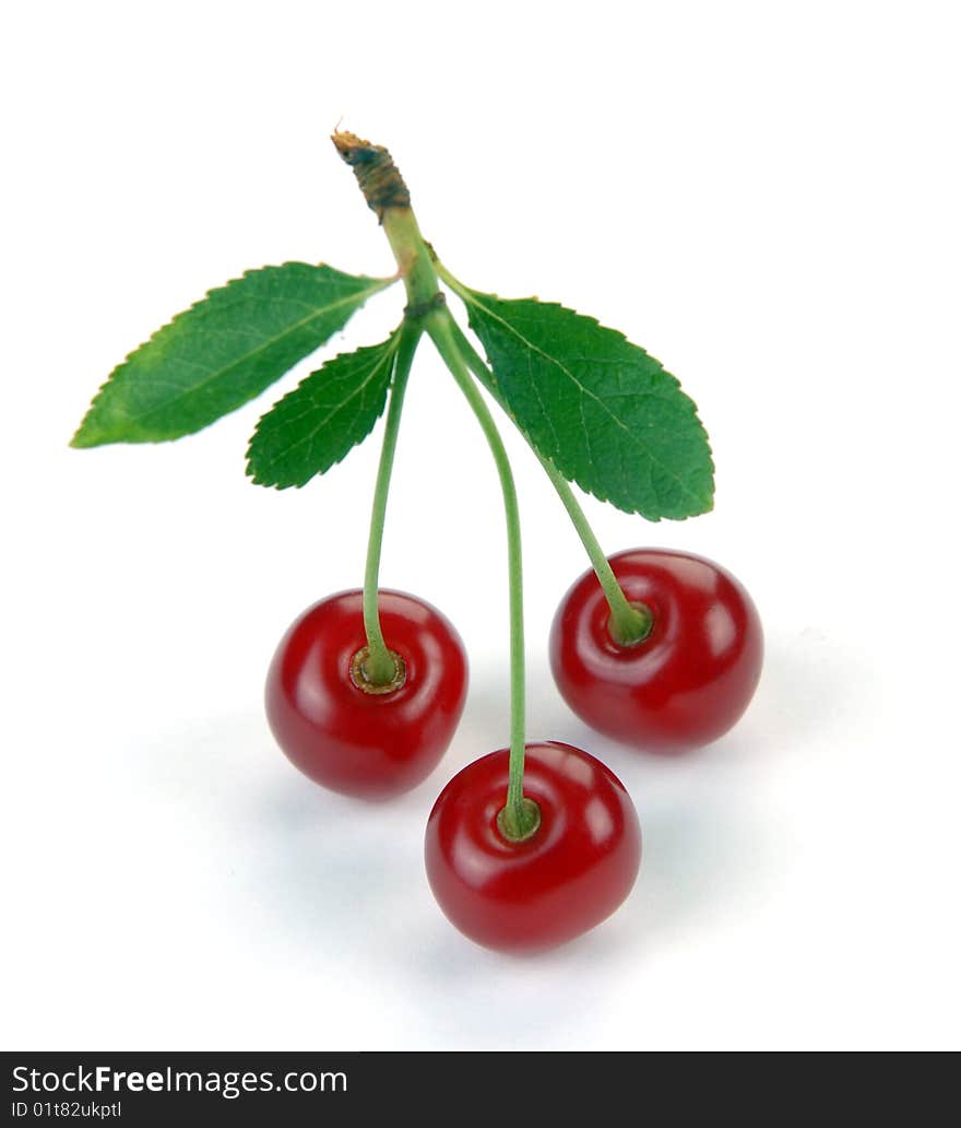 Sweet cherries on a white background