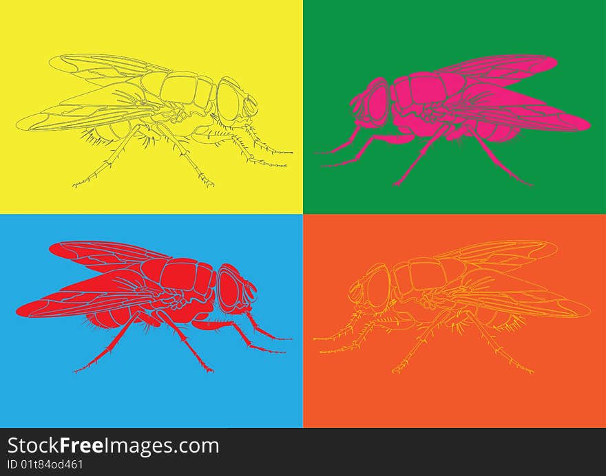 Vector color flies at four different background. Size and color can be changed. Vector color flies at four different background. Size and color can be changed.