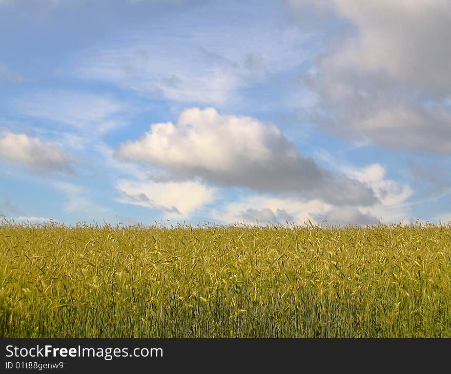 Shot of the rural landscape of South East Estonia. Shot of the rural landscape of South East Estonia