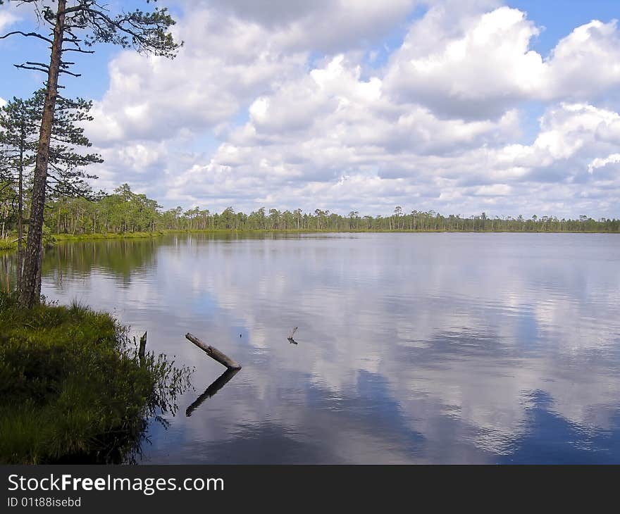 A bog lake in the marsh called Meenikunno, in the South East of Estonia, with forest in the background and clouds reflecting in the water. A bog lake in the marsh called Meenikunno, in the South East of Estonia, with forest in the background and clouds reflecting in the water