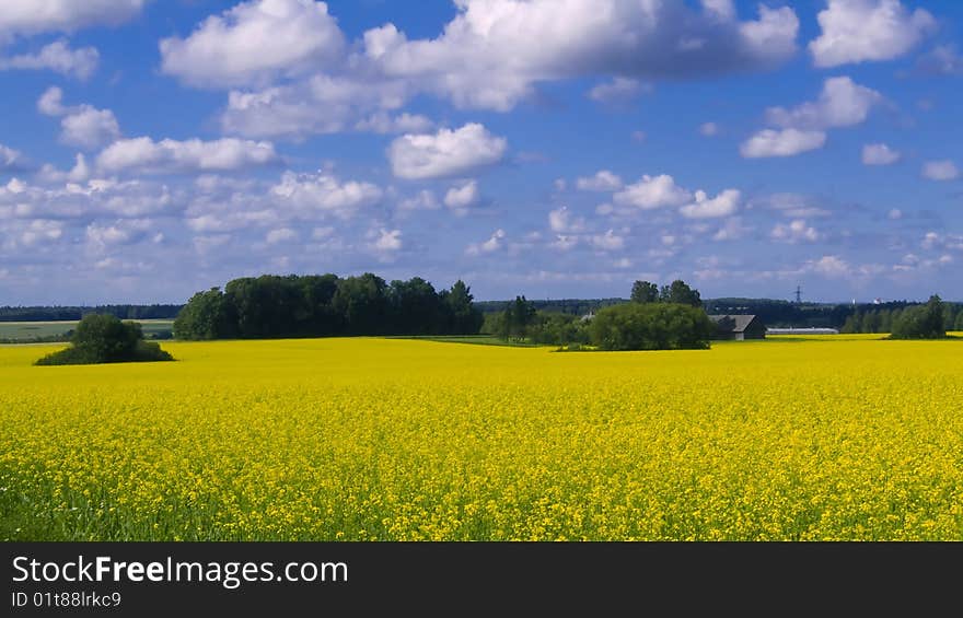 A beautiful rural landscape against a blue cloudy sky. A beautiful rural landscape against a blue cloudy sky