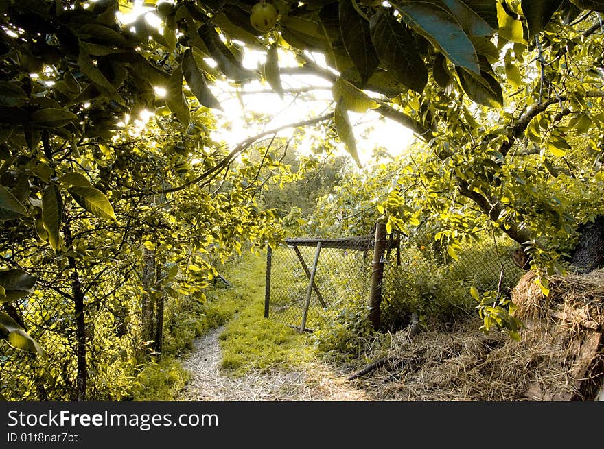 Soft and light image with an open gate. Soft and light image with an open gate.