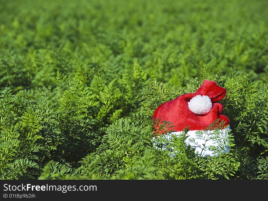 Santa s hat in a farm field