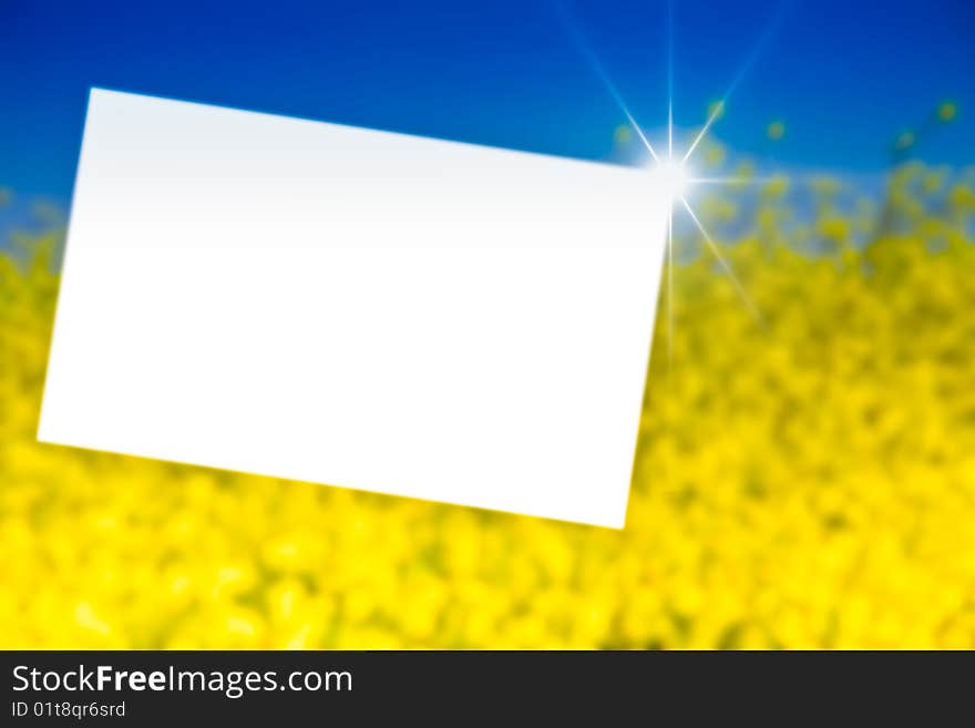 White paper in  yellow field