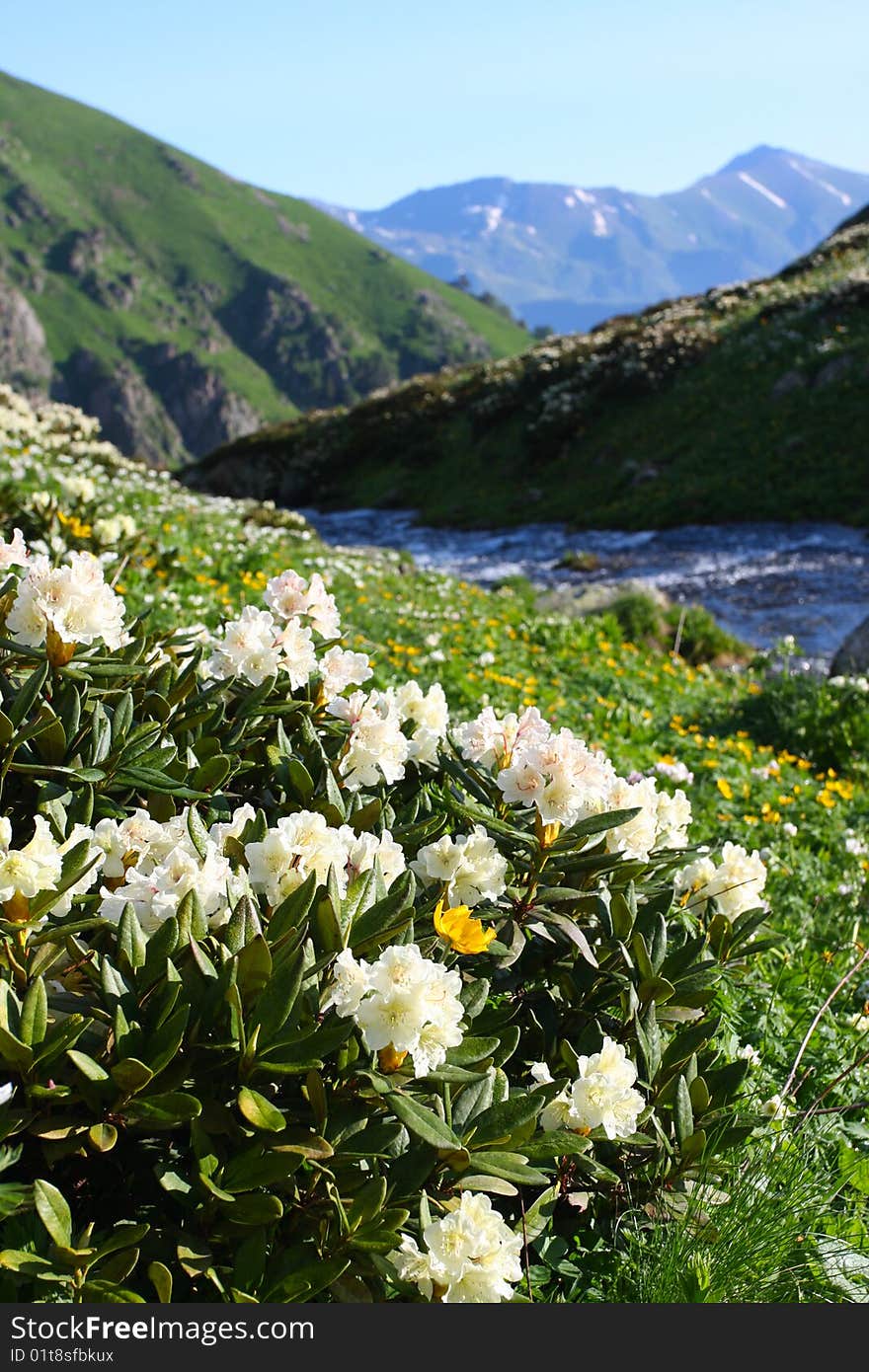 Caucasus mountain in the morning