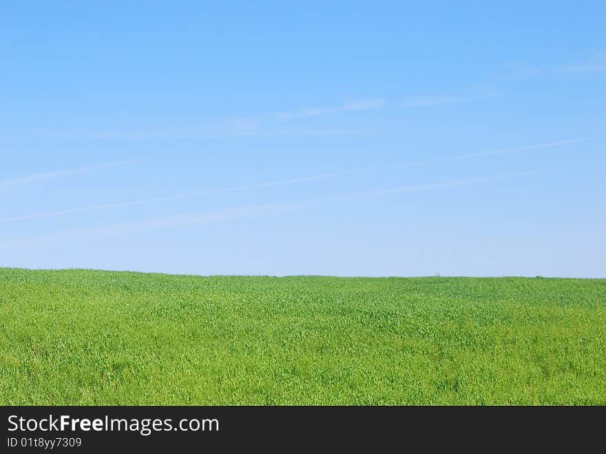 Background of cloudy sky and grass. Background of cloudy sky and grass