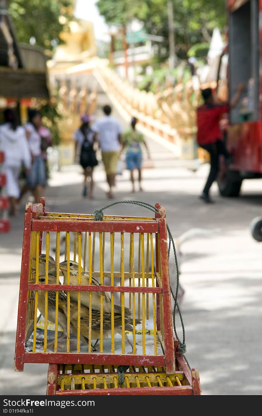 Cages in the Thai monastery. Buddha. Traditions of buddhism