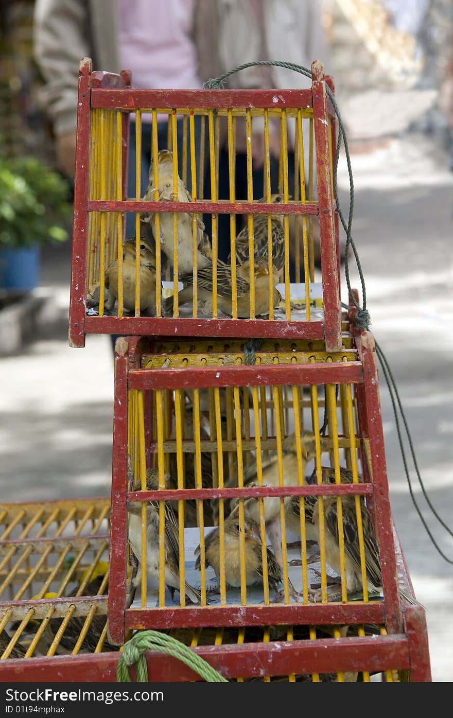 Cages in the Thai monastery.