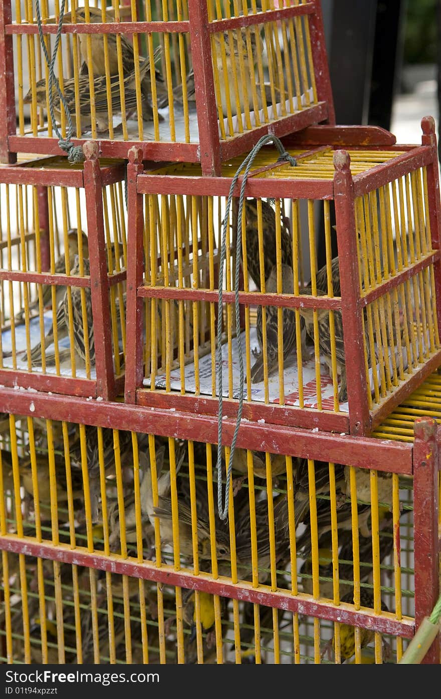 Cages in the Thai monastery.