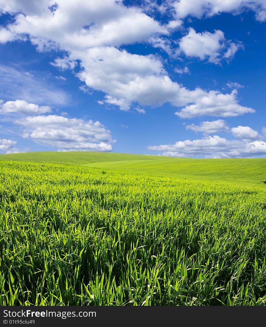 Green meadow under blue sky with clouds. Green meadow under blue sky with clouds