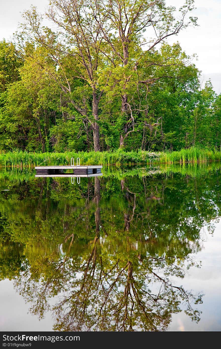 Reflection in the pond