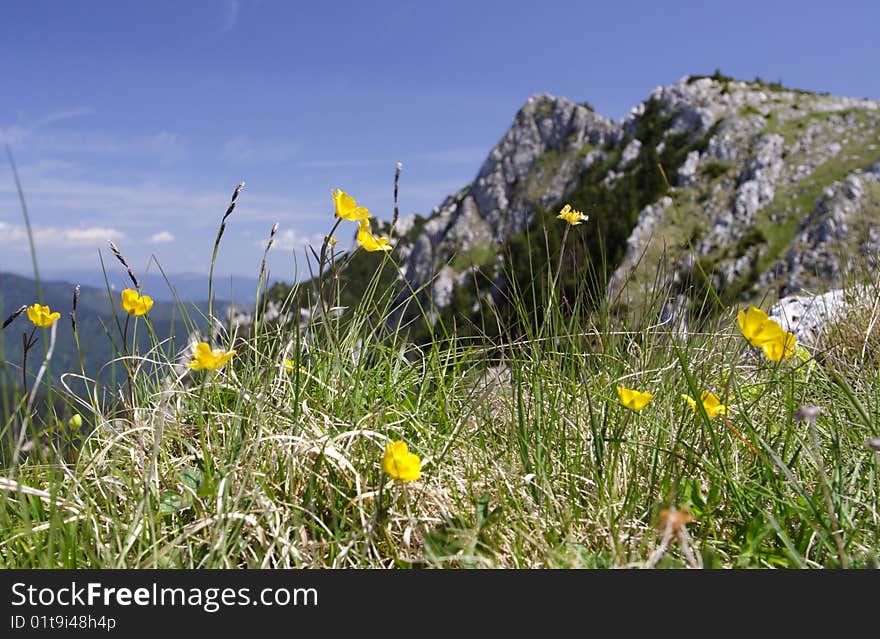 Vanturarita peak located in Buila mountains in the Romanian Carpathians