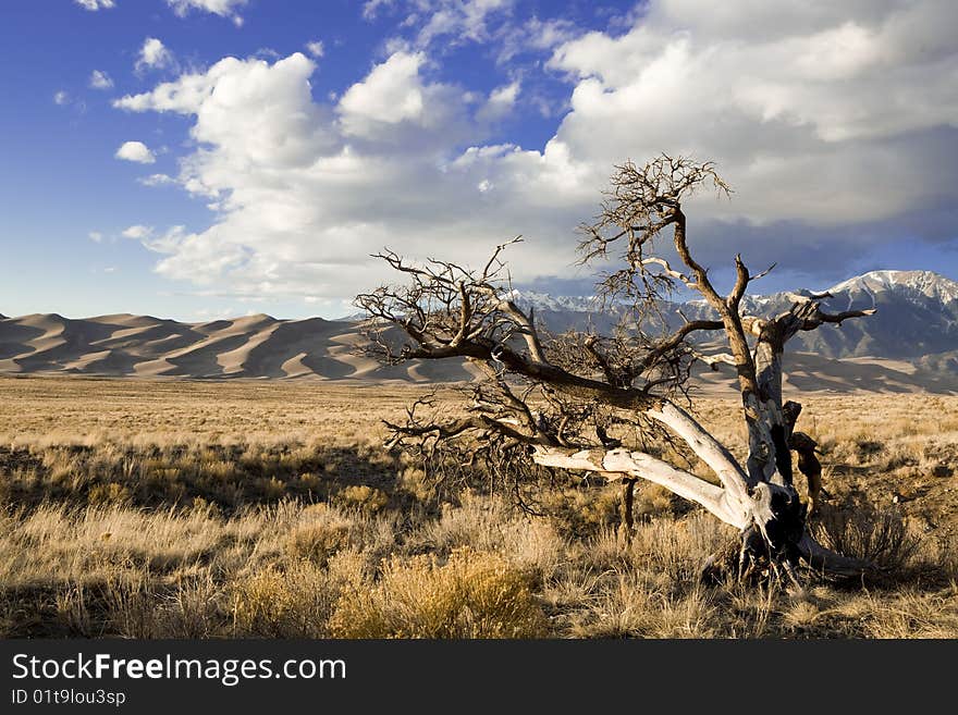 Sand Dune Landscape