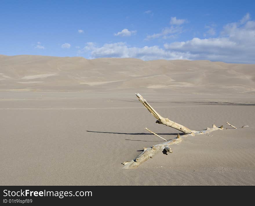 Sand dunes with dead tree in foreground. Sand dunes with dead tree in foreground