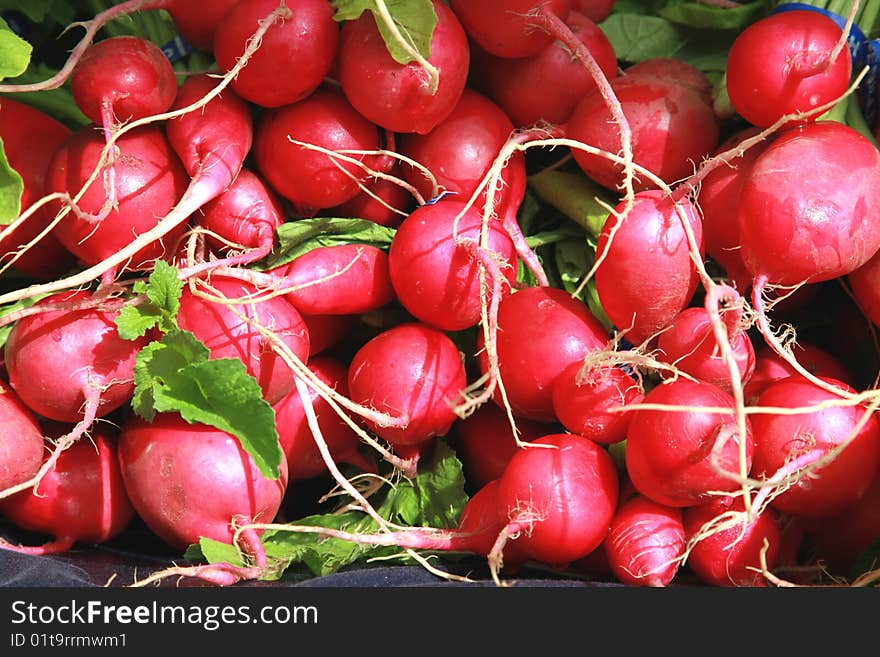 Fresh red radishes for sale at the local farmer's market