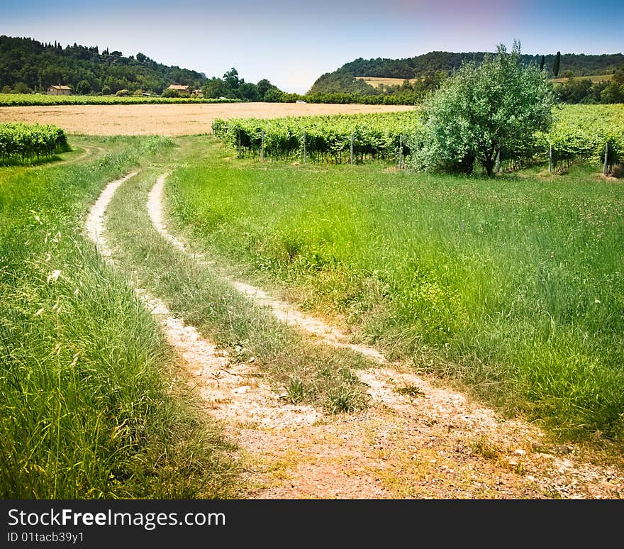 Italian countryside