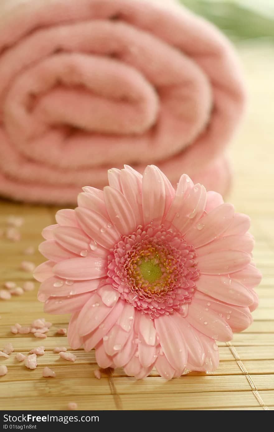 Pink gerber and pink towel. Spa composition.