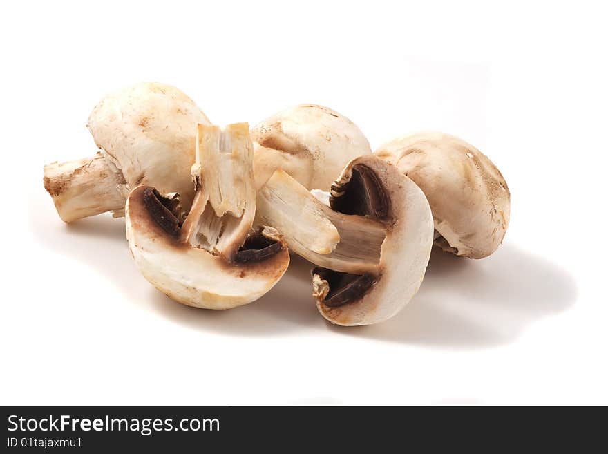 Group of fresh champignons. Macro photo.