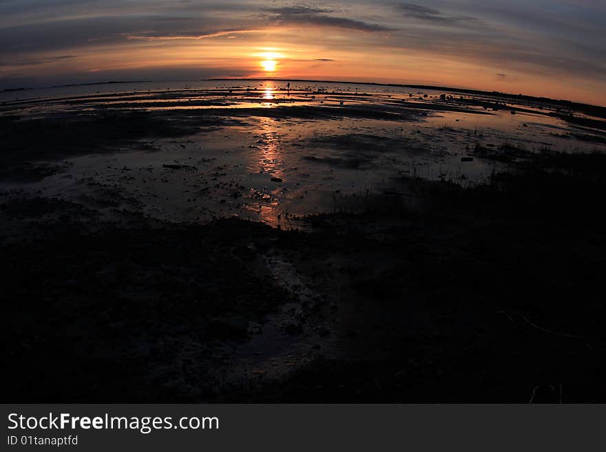 Sunset on the sea shore