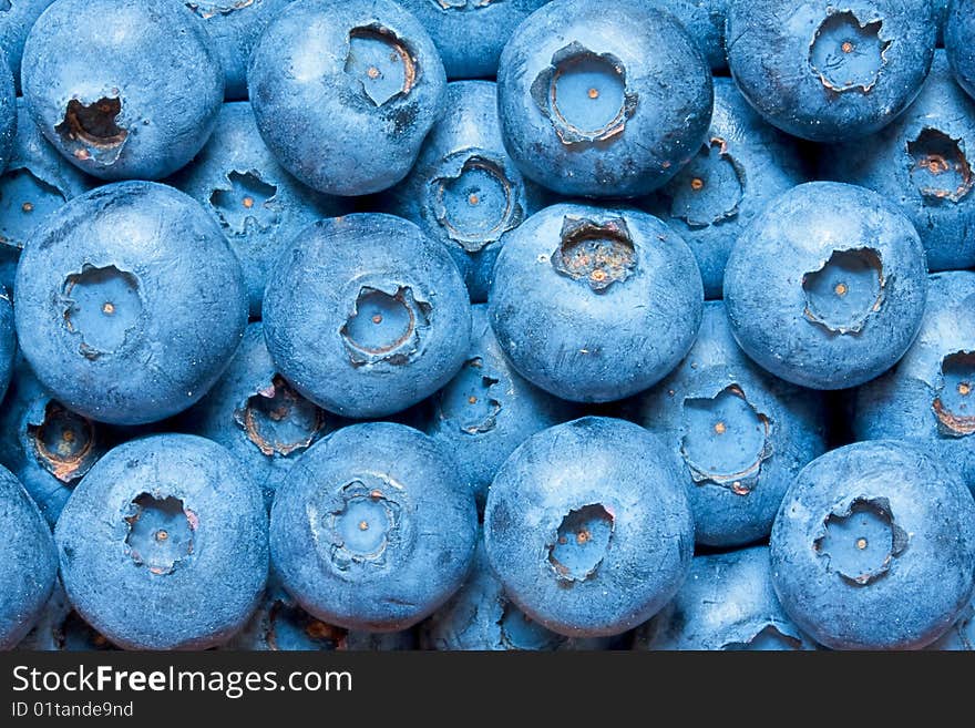 View in close up of a pile of blueberries. View in close up of a pile of blueberries.