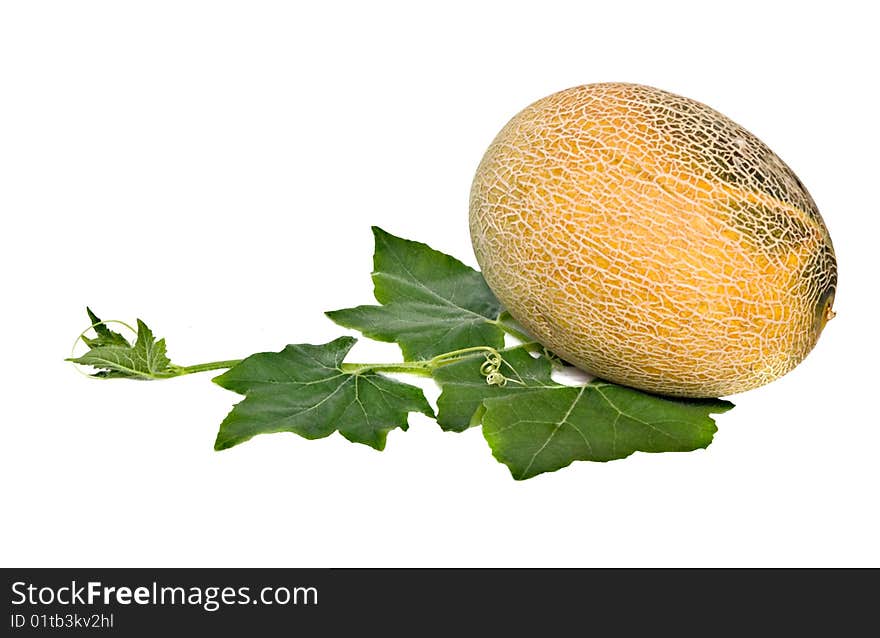 Melon isolated on white background