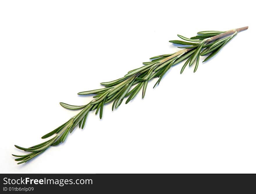 Rosemary