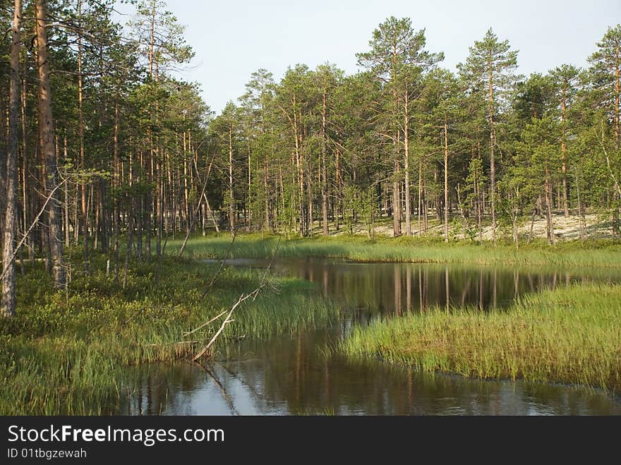 Sources of the of the taiga rivers of the Siberian edge. Sources of the of the taiga rivers of the Siberian edge