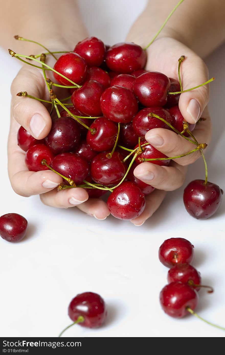 Sweet cherry in woman hand