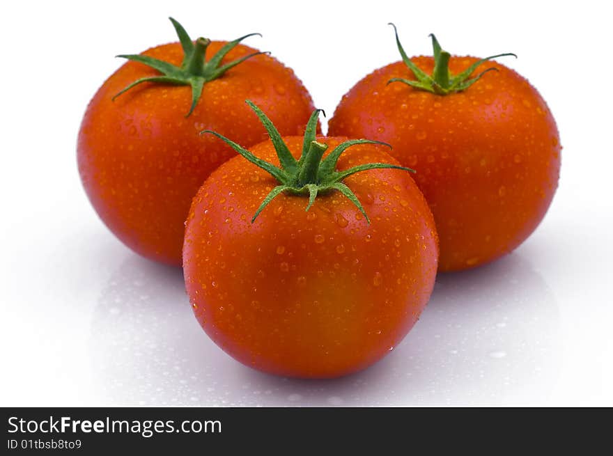 Red tomatoes on white background