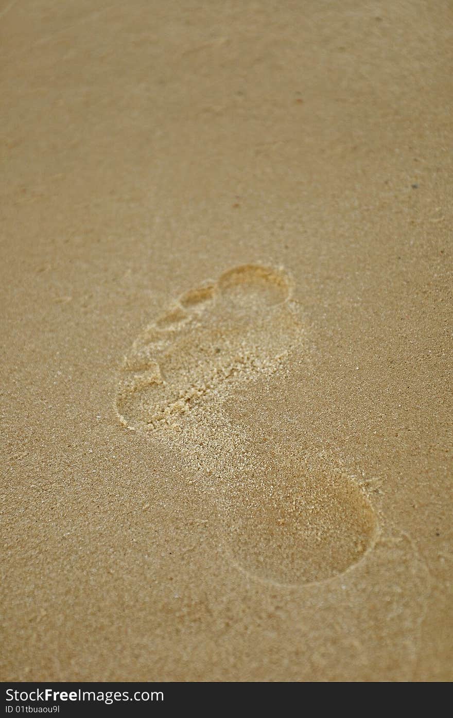 Footprints in the sand