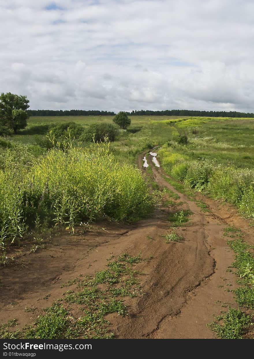 Dirt Road In The Field