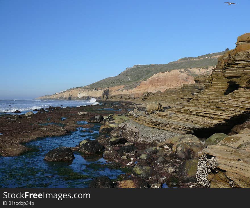 View of the ocean at low tide