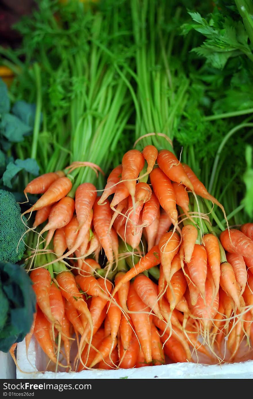 A bunch of baby carrot in the dry market