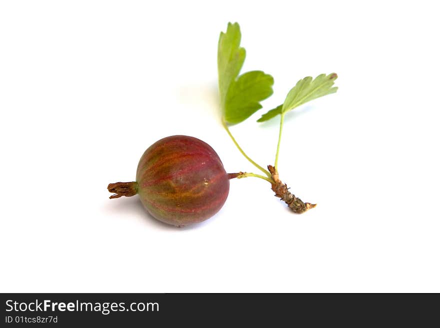 Green gooseberry isolated on white