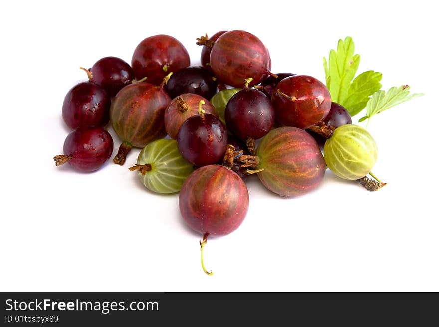 Red gooseberries isolated on white