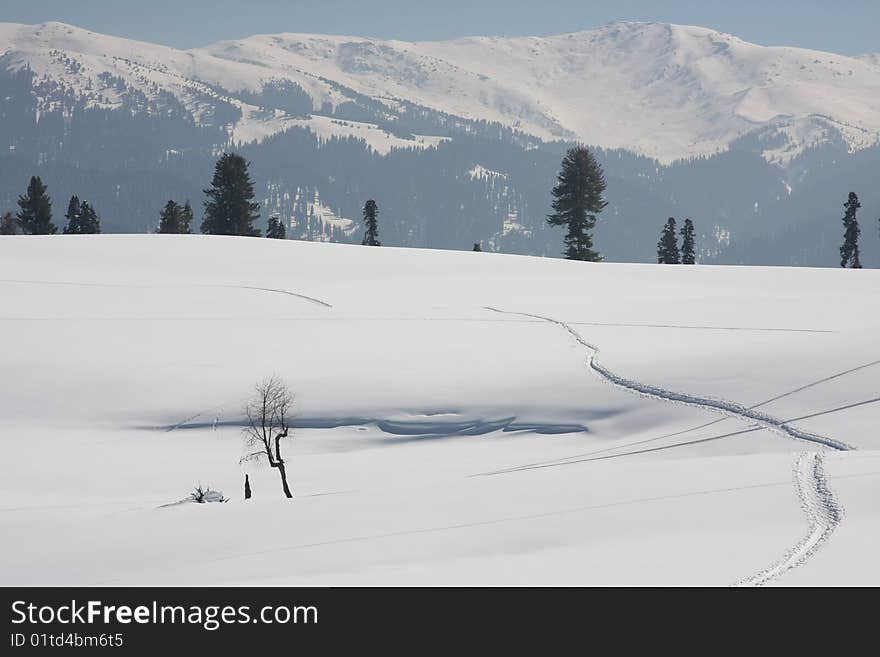 Himalayas mountain at winter. Single leafless tree on crystal-clear snow-covered landscape. Himalayas mountain at winter. Single leafless tree on crystal-clear snow-covered landscape