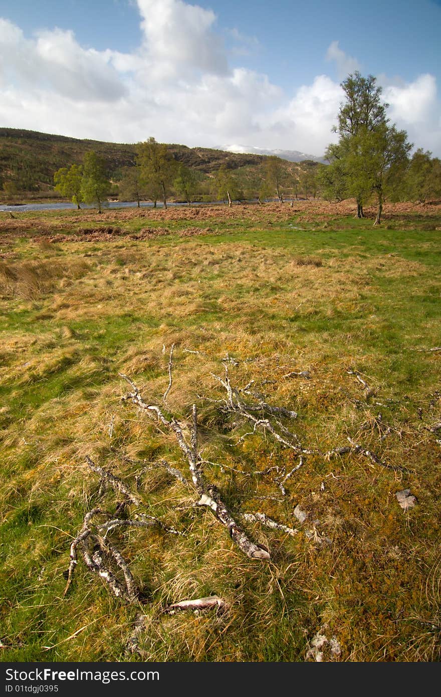 Scottish landscape with green meadow