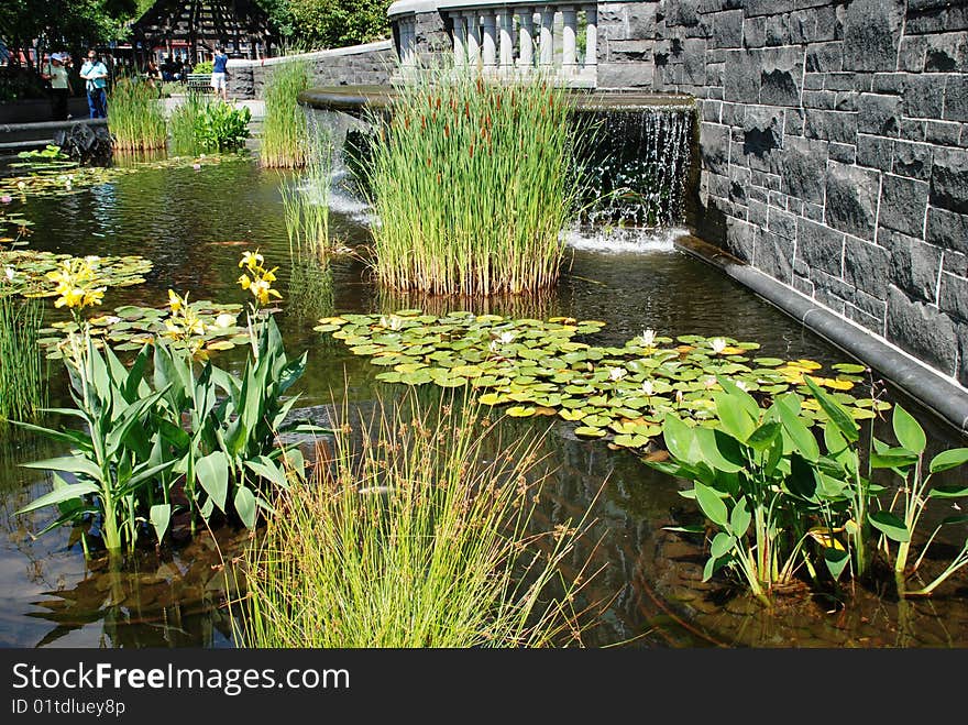 Decorative pond