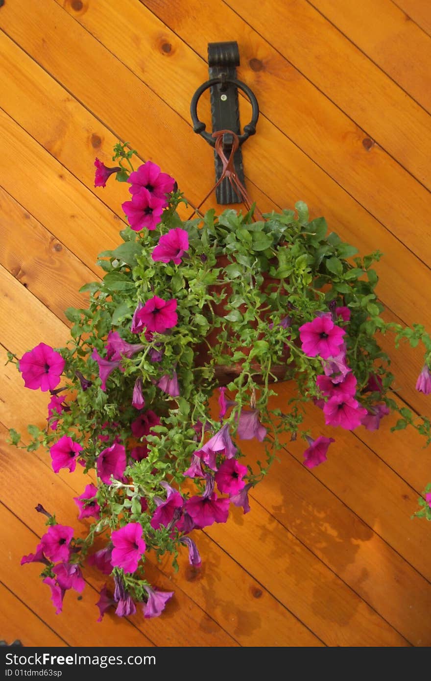 Flower decoration on the door.