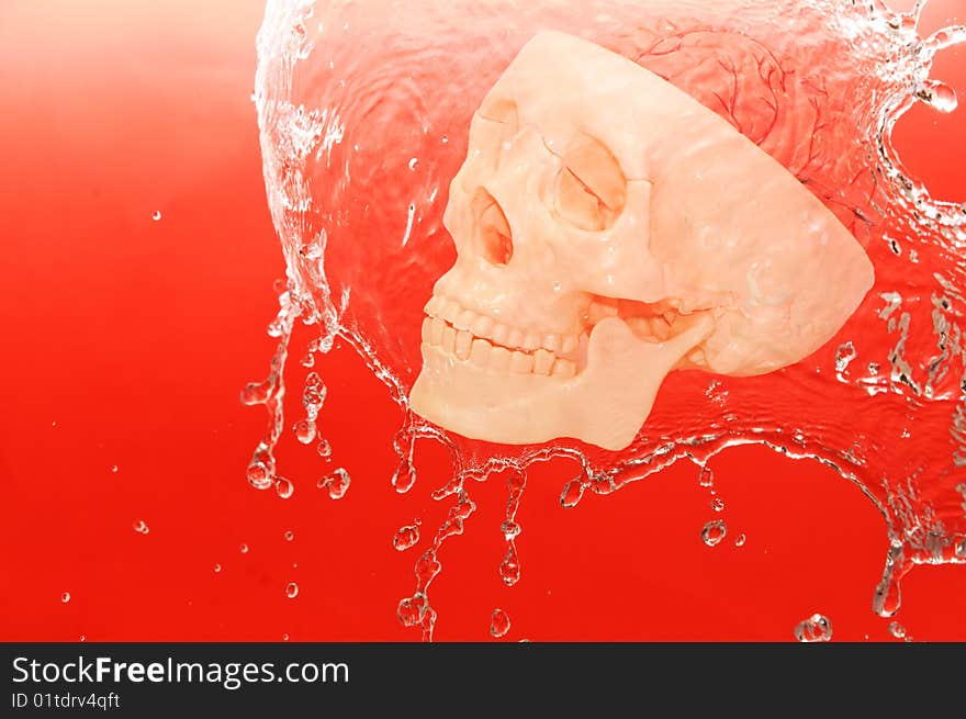 White skull in the water