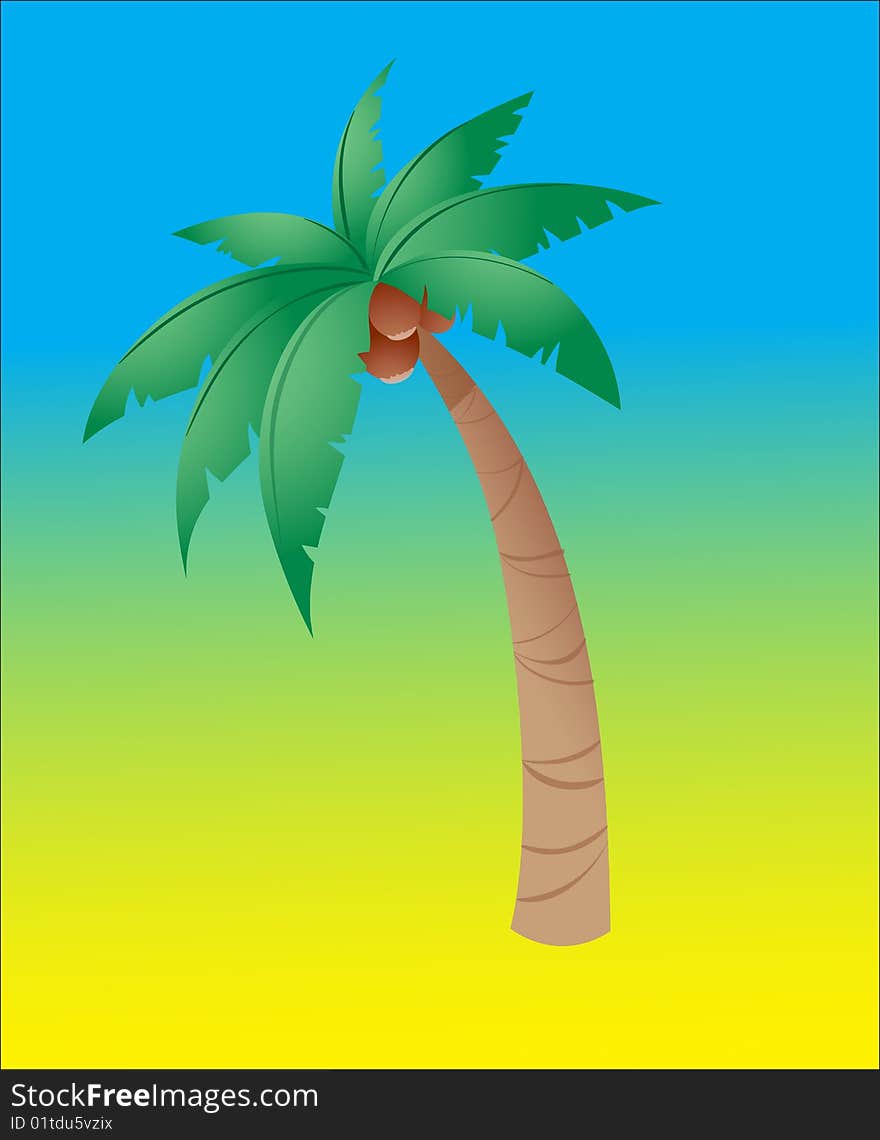 Coconut tree