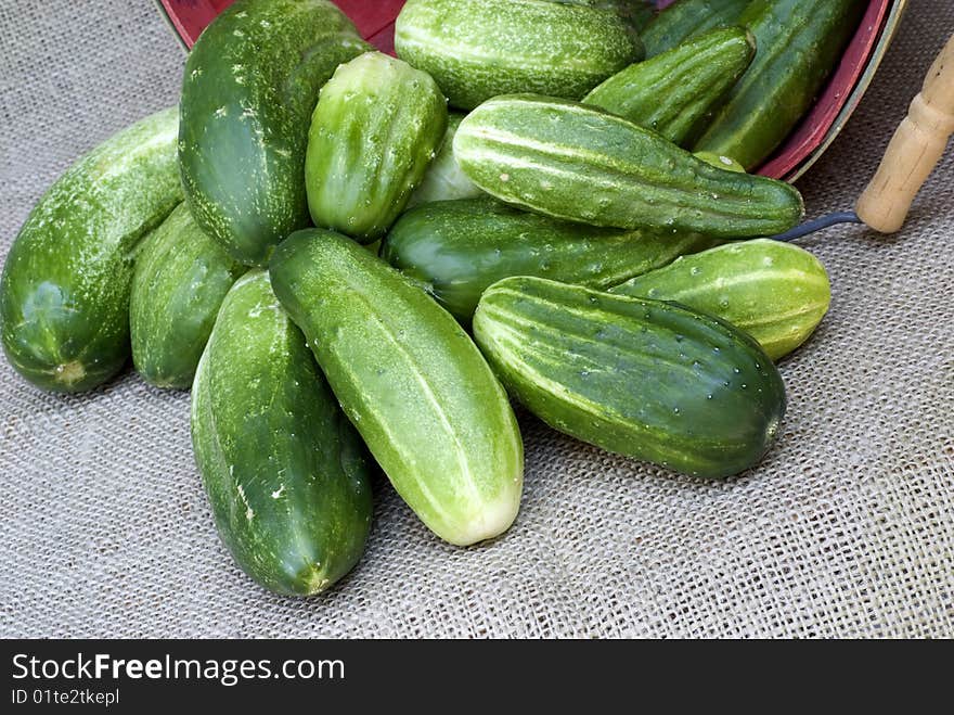 A basket of fresh cucumbers from the garden, horizontal with copy space. A basket of fresh cucumbers from the garden, horizontal with copy space