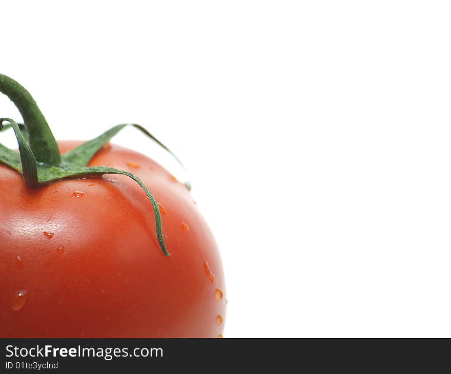 A juicy tomato fresh off the vine isolated on a white background. A juicy tomato fresh off the vine isolated on a white background.