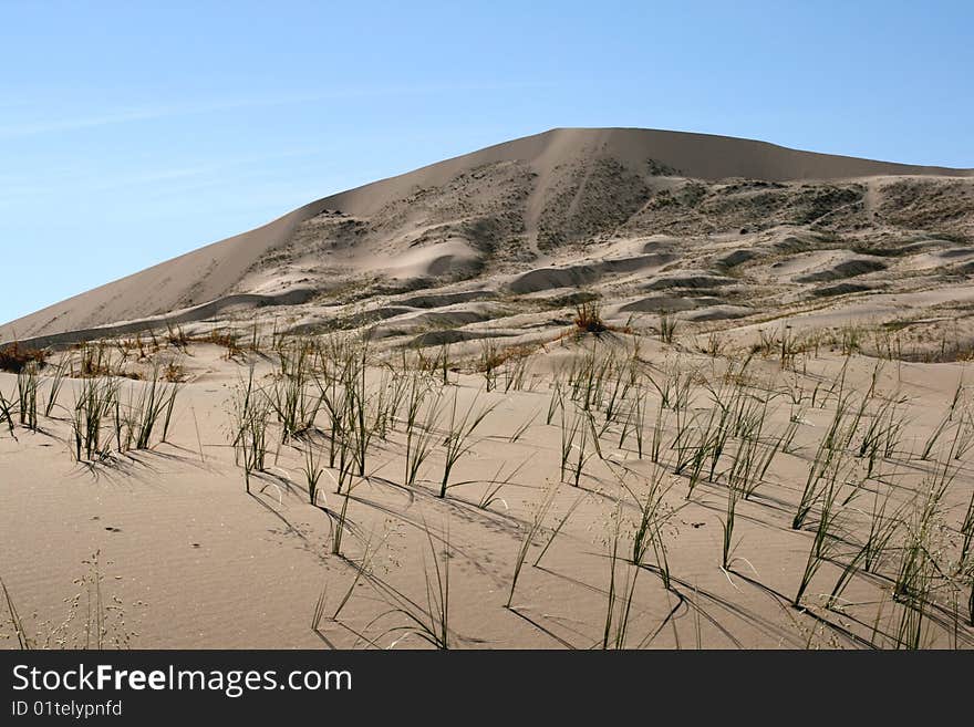 Kelso Sand Dunes in Mojave Desert in California