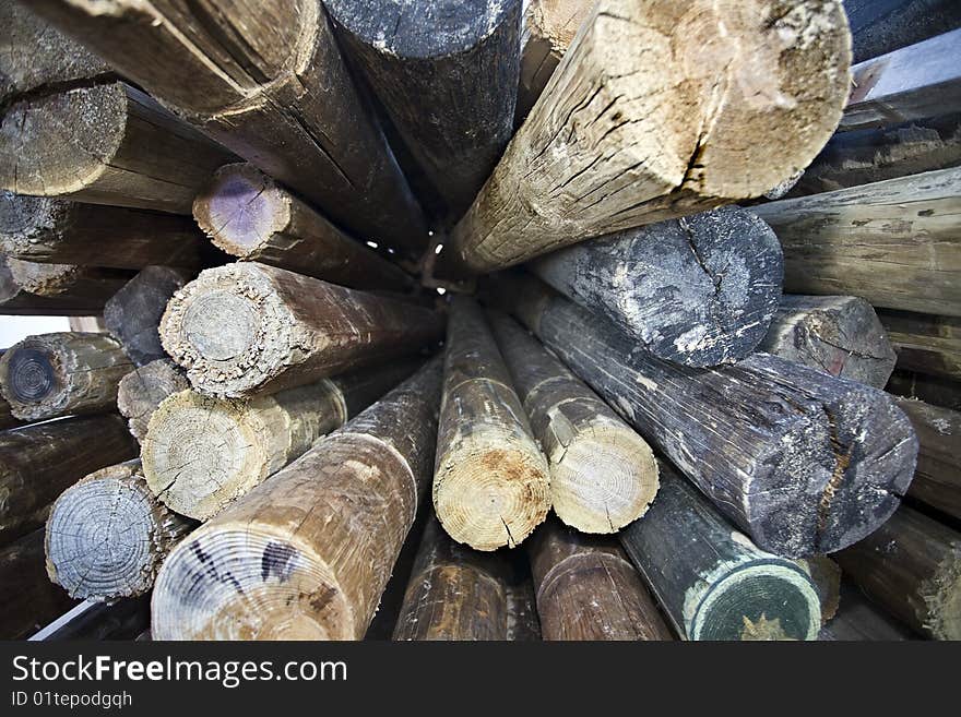 Pile of logs of wood to mature