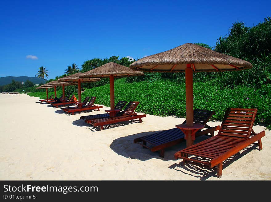 There are many chaise longues by the beach. There are many chaise longues by the beach