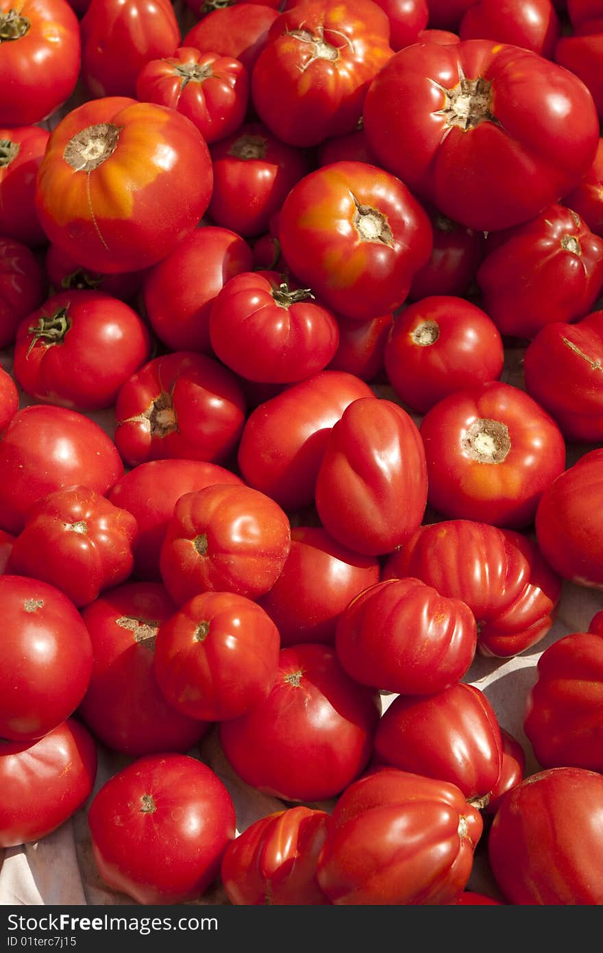 Tomatos ready for make the Sauce