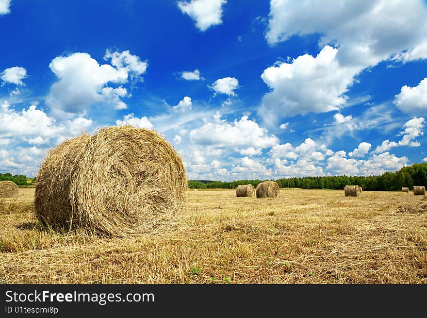 Beautiful rural landscape of a field with hay rolls. Beautiful rural landscape of a field with hay rolls